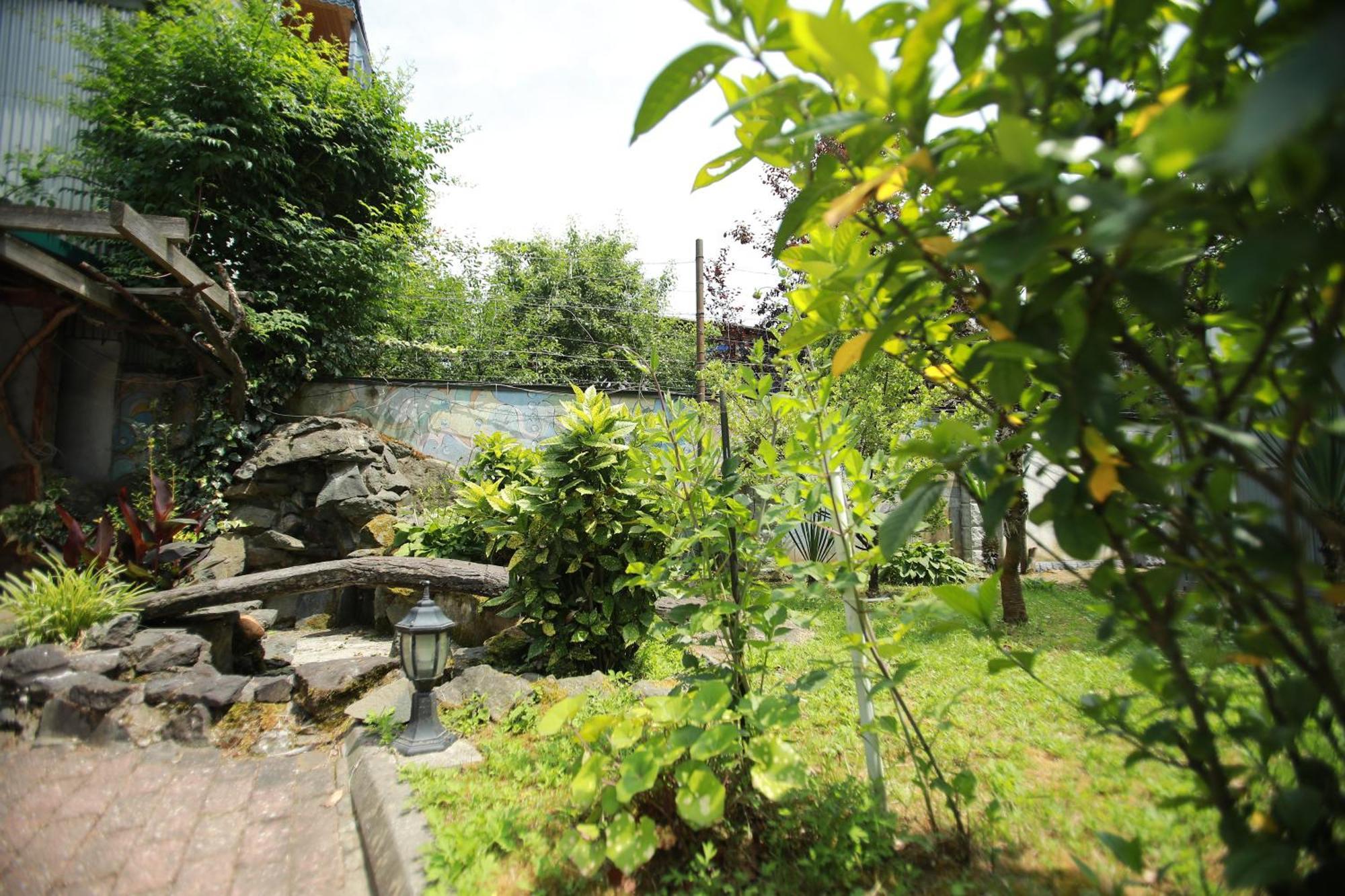 Green House Hotel Kobuleti Luaran gambar